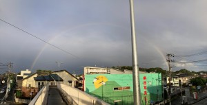 250531_虹